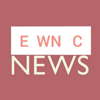 Egypt and World News Company telegram group Telegram Group Link