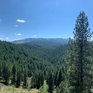 IdahoCounty.com Telegram Group Link