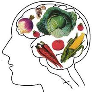 VIDA VEGETARIANA Telegram Group Link