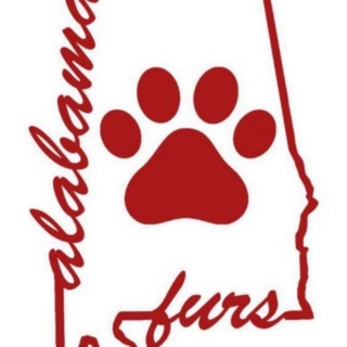 Alabama Furs - Official Statewide PG-13 Chat for AL Furries Telegram Group Link