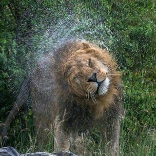 Testes IPTV Telegram Group Link