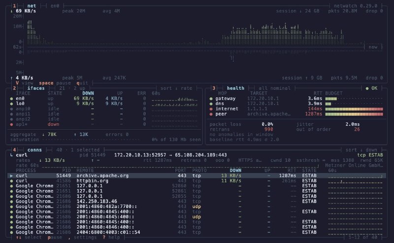 🍭 #网络监控 #终端工具 #网络安全🏵 NetWatch - 终端网络连接监控与诊断🍥 简介