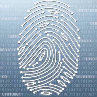 Análise Forense Brasil Telegram Group Link