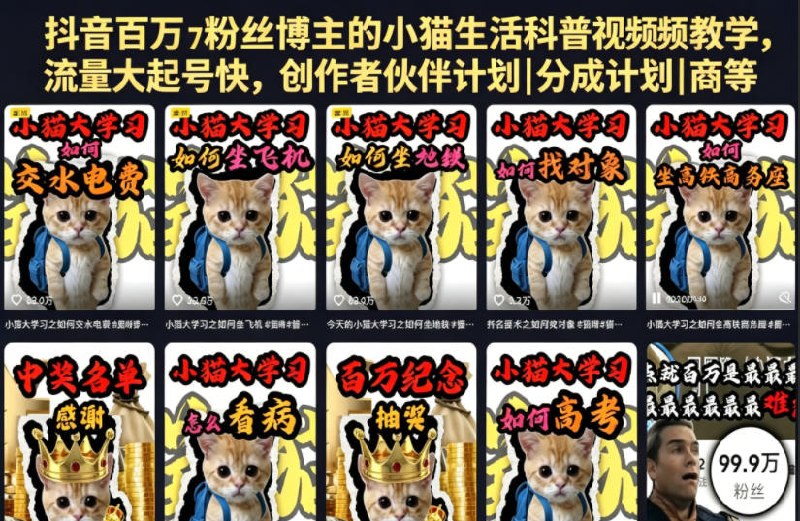 📌 #抖音  | 活动线报 · 返佣平台✍️ 《抖音百万粉丝博主的小猫生活科普视频教学 流量大起号快》📖 项目介绍