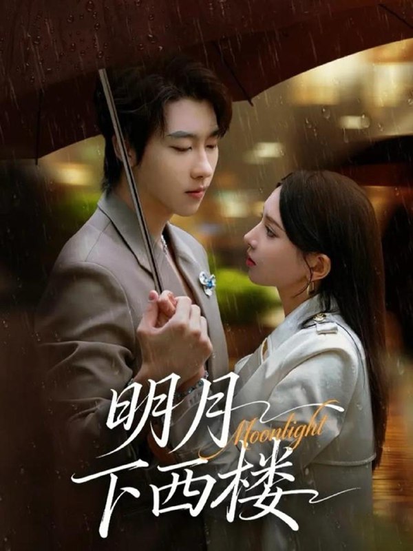 2025年12月13日短剧合集目录5