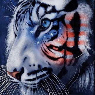 MsTigress Channel Telegram Group Link