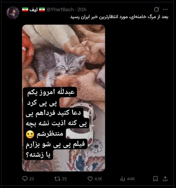 pussy&poem: رسانه پست