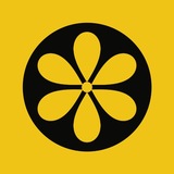 TickerFall - Public Portal