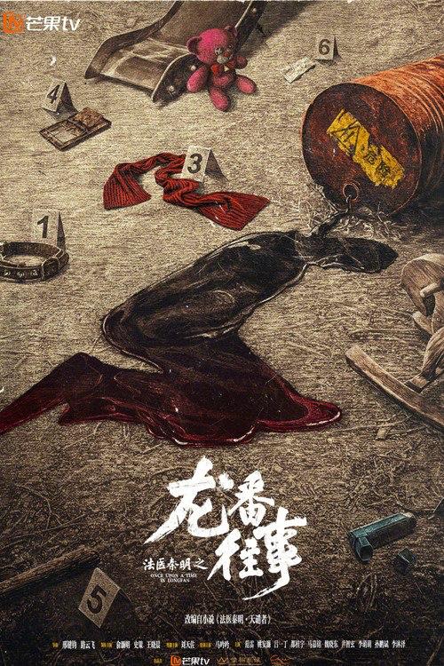 名称：法医秦明之龙番往事 (2026)web-4k 简体字幕 第20集