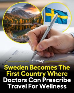 在瑞典 🇸🇪，你可以在病假期间心安理得地去旅游。瑞典成为全球首个允许医生将“旅行”作为治疗方式的国家。医生除了能开药或安排心理治疗外，现在还可以开出“旅行处方”，建议患者亲近自然、参观宁静的地方，或暂时远离日常压力。这个做法旨在通过旅行的疗愈力量，改善身心健康。 source