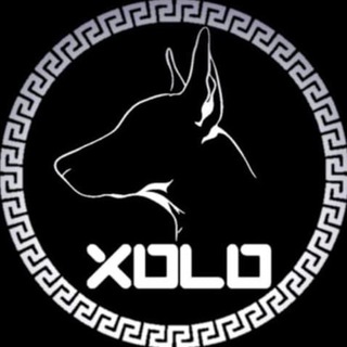 Xolo Token Official Group Telegram Group Link