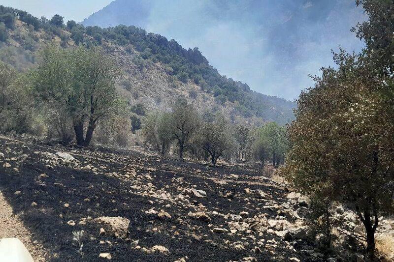 آژانس خبری رکنا | Rokna NEWS Agency: 🔶 آتش‌سوزی در منطقه حفاظت شده شاهو و کوسالان مهار شدآتش سوزی گسترده در چندین نقطه از منطقه حفاظت شده شاهو و کوسالان سروآ