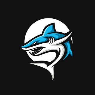🦈 𝗦𝗛𝗔𝗥𝗞 - 𝗦𝗨𝗔 𝗡𝗘𝗧𝗙𝗟𝗜𝗫 𝗗𝗢𝗦 𝗖𝗨𝗥𝗦𝗢𝗦 🎬