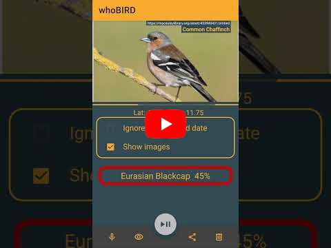 🗣  每日羊毛线报  👈🏵  whoBIRD - 实时鸟鸣识别🍥 简介
