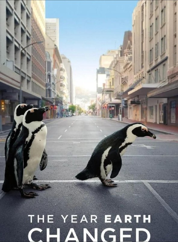 #影视 | 地球改变之年 4K(2160P) 电影简介