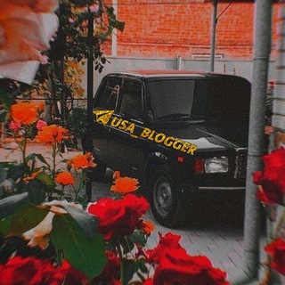 ⚜️ @USA_BLOGGER | 🇺🇸 Telegram Group Link