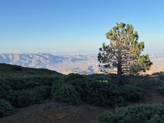 第一次走太平洋屋脊小径拉古纳山沙漠景路段，现在是山红木结果的季节，满山银光闪闪。山头有一个白色穹顶，以前一直以为是天文台，这次走近了，才发现是美国空军的雷达，没人驻守，只是插着警告牌隐约写着“对公众关闭”，遭人涂鸦，只剩“公众”，猜得出意思，于是不敢靠近。那里是俯瞰大角羊沙漠最佳处。