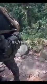 ️🇨🇴 עימותים עזים בין כוחות ההגנה העצמית של קונקיסטדור של סיירה נבאדה (ACSN) לבין שבט המפרץ על שליטה טריטו…