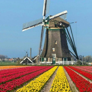 Crypto Holland