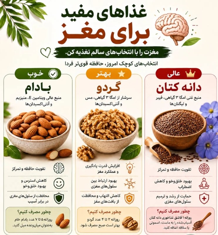 مرکز بهداشت کشوری: غذای مفید برای مغز🧠@Behdasht_iran