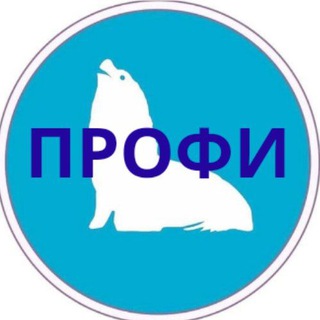 ПРОФЕССИОНАЛЫ Мар-дель-Платы. Справочник