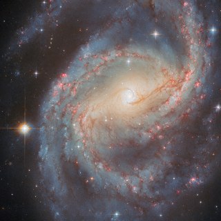 【仙王座 NGC 6951 星系】欧空局公布一张哈勃太空望远镜拍摄的仙王座「NGC 6951」棒旋星系照片。这个星系距离地球约7000万光年，直径达7.5万光年，拥有明亮的中央棒状恒星带和清晰的旋臂结构。「NGC 6951」星系核外围存在一个聚集气体与尘埃的「核周星暴环」，直径约为3800光年，天文学家在该区域已发现超过80个潜在的星团，正在快速形成新的恒星。 source