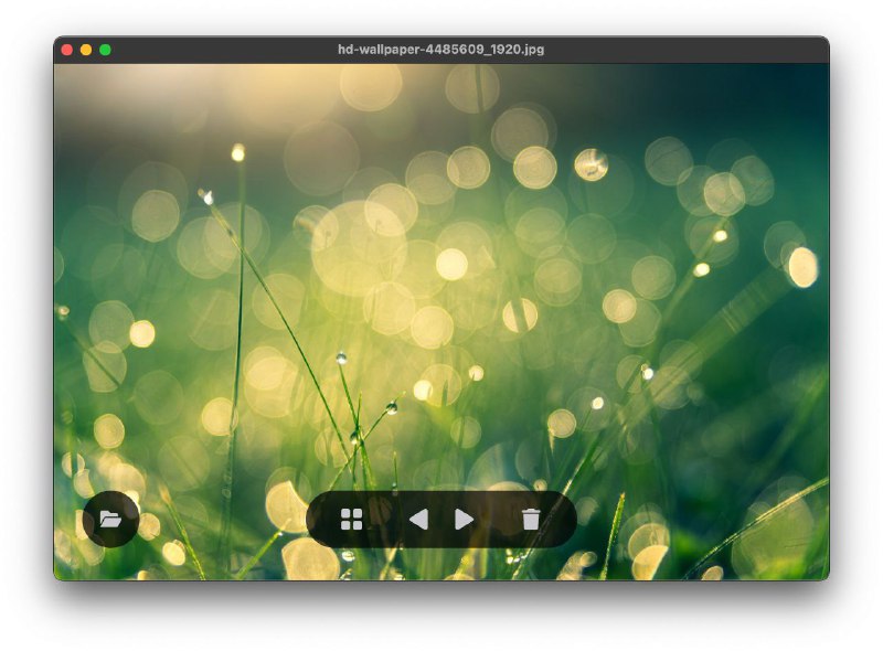 🖼 LeafView - 极简跨平台图像查看器▎软件平台