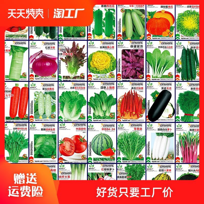 #淘宝 #蔬菜种子 #包邮 #低价 🎈 #线报 | 蔬菜种子 1.5元包邮🎯  简介