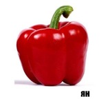Щп морепродукта (+18)