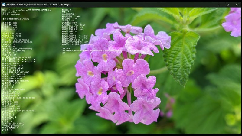 🖼️ jarkViewer - 高效便捷多格式图片查看器▎软件平台