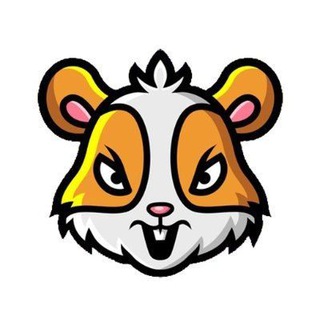 HamsterCoin_China🇨🇳