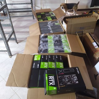 @Argenpool #Minería POW Telegram Group Link