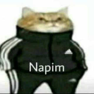 Ex Judge Telegram Group Link