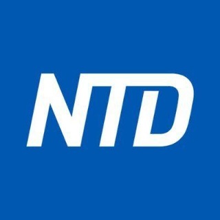 Telegram profile photo for NTD