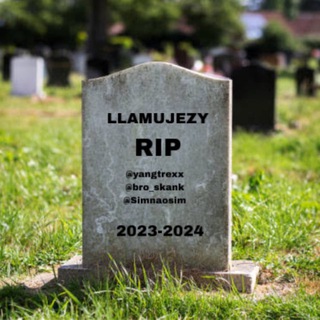 Logo llamujezy - chat