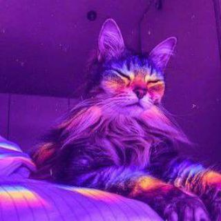 MAURİTİUS 🇲🇺 #SERIAT Telegram Group Link