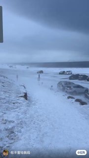 来吧，享受北极🧊2026年2月25日，全员滞留北极小岛[露营灯R]#北极 #北极圈 #末日