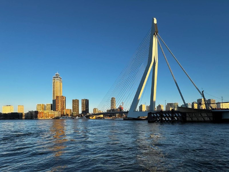 今天Rotterdam的天氣非常好