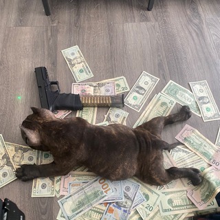 Minnesota everything chat Telegram Group Link