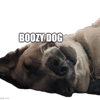 Boozy Dog