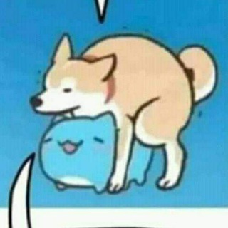 Putos Telegram Group Link
