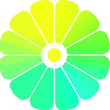 نمونه تدریس دکترکیمیا