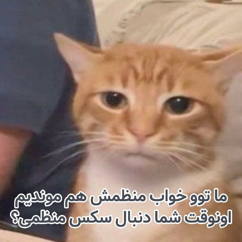 رادیوکصشر: 😐