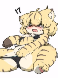 #福瑞