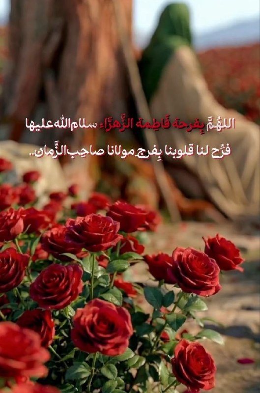 عمر کشون (به نیت فرج): .یا الله عجل لولیک المنتقم الفرج 