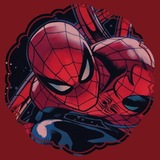 Spidey shop