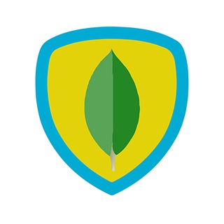 MongoDB | Mongoose Brasil Telegram Group Link