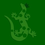 Ящерица🦎