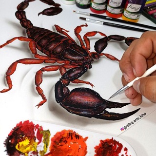 Dibujantes e Ilustradores 🎨