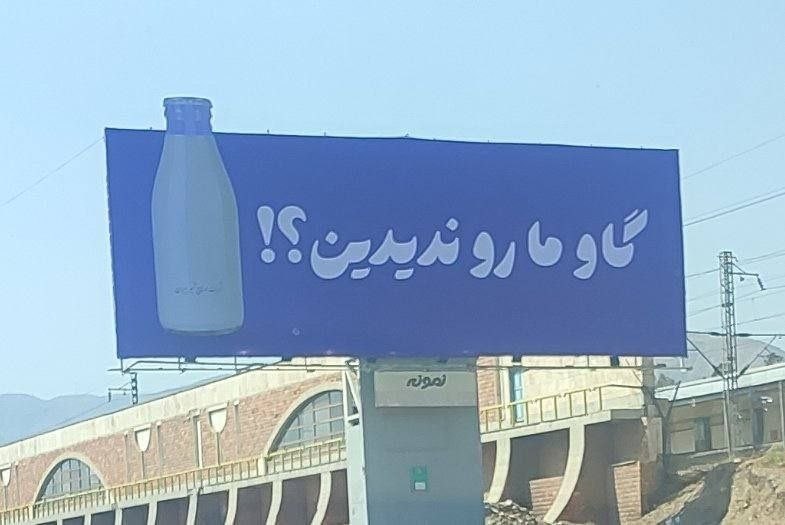 رادیوکصشر: چرا دیدیم، با دلار ۲۰۰ تومنی شبا تو میدون پرچم فلسطینو میچرخونه